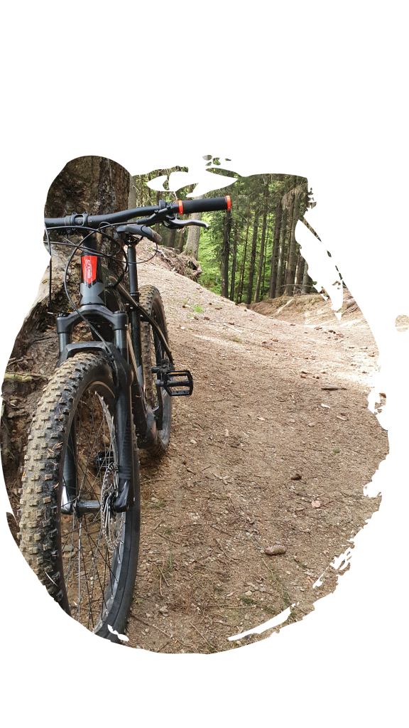 Bicicleta Electrica In Padure - Biciclim LTK