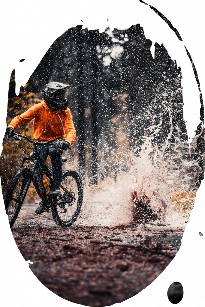 img despre noi Biciclim LTK